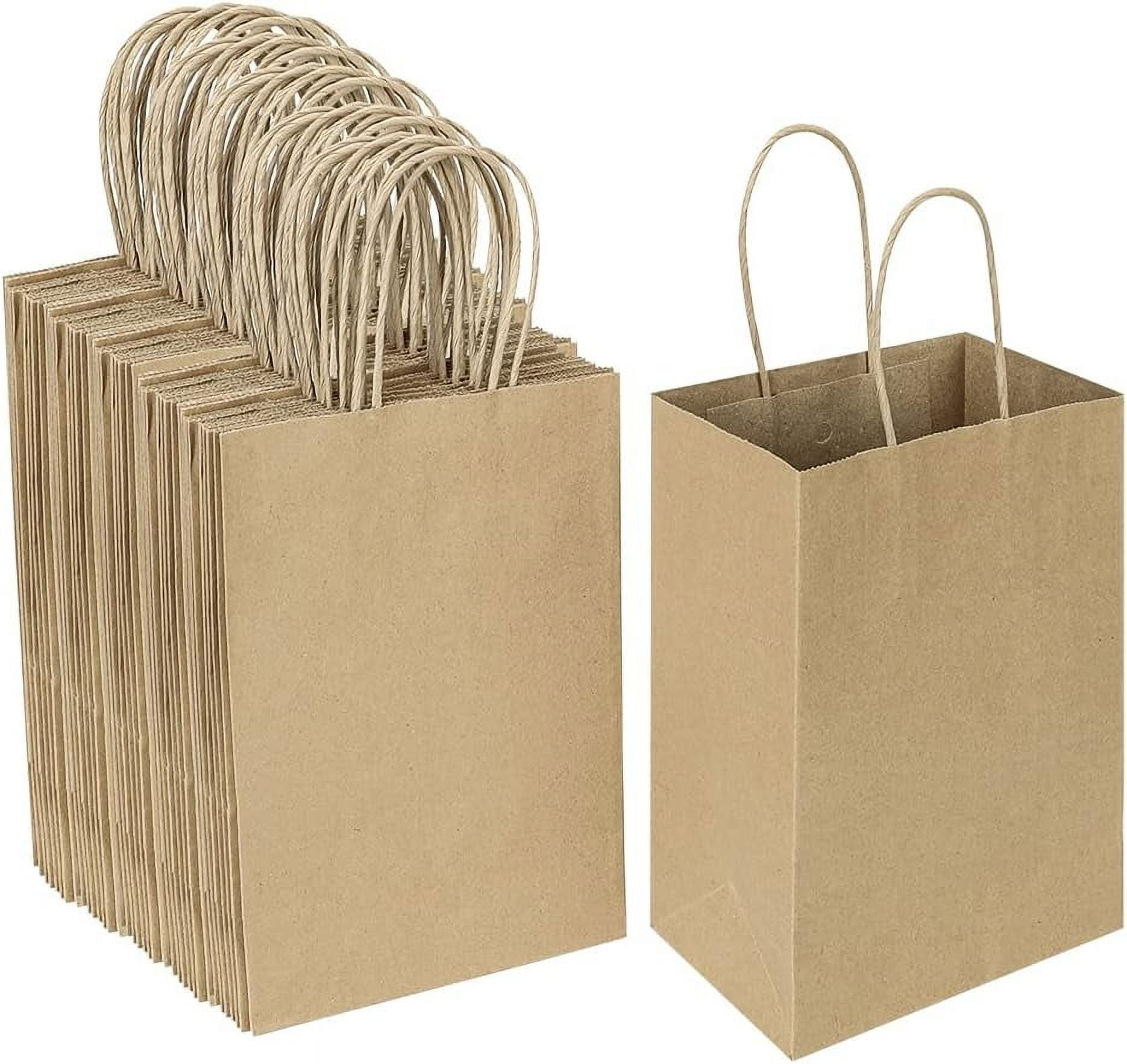 ZHUYING Gift Bags 8.26x4.33x10.62 100Pcs Small Plain Natural Paper Kraft Gift Bags with Handles Bulk for Birthday Party Favors Grocery Retail Shopping Business Goody Craft Bags Cub (Brown 100 Count)