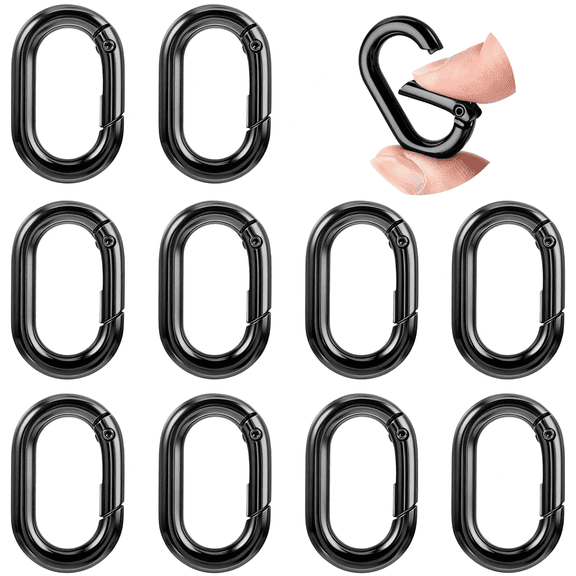 ZHZFKQ 10Pcs Small Carabine Mini Carabiner Clip 1In Spring Snap Hook Heavy Duty for Car Keychain Hooks Camping Climbing Small Carabiner Clip
