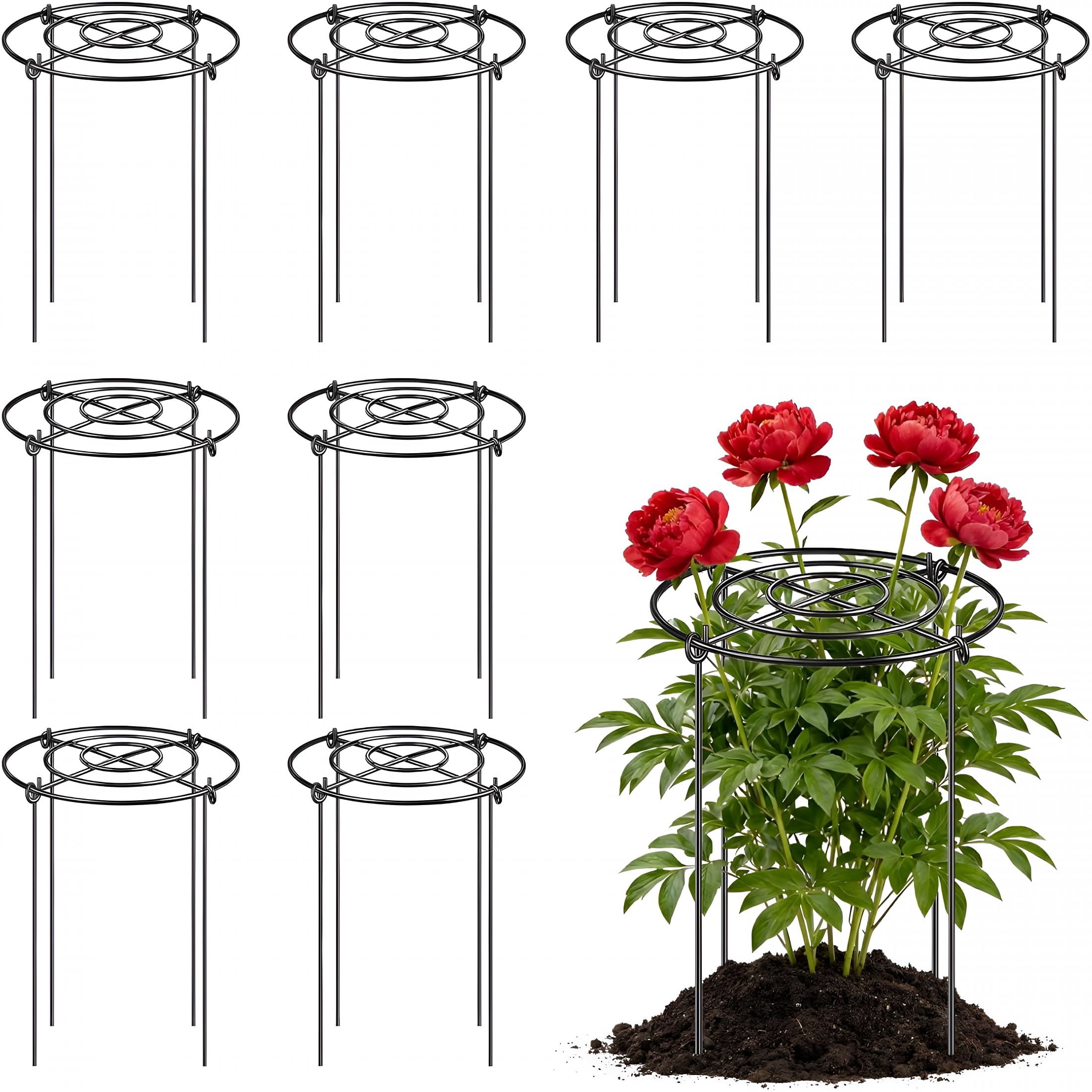ZHZFKQ Peony Cages and Supports 8 Pack,12X16 Inch Heavy Duty Metal Plant Cage for Outdoor Plants-Grow through Flower Support Rings for Peonies,Roses,Tomatoes&Hydrangeas