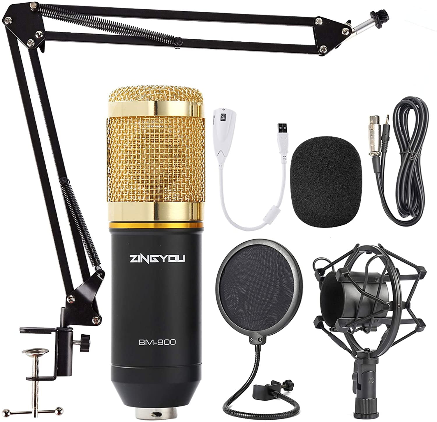 Legacy LSM-65 Studio Condenser Microphone with Shock Mount and case