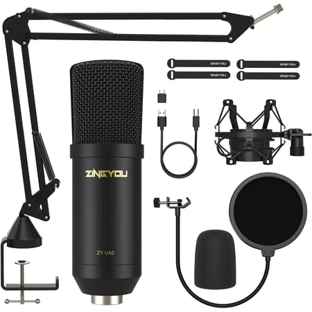 ZINGYOU XLR Condenser Microphone, Professional Studio Recording Microphone Kit with Vertical Steel Boom Arm and Removable Pop Filter, Free Installation - Black