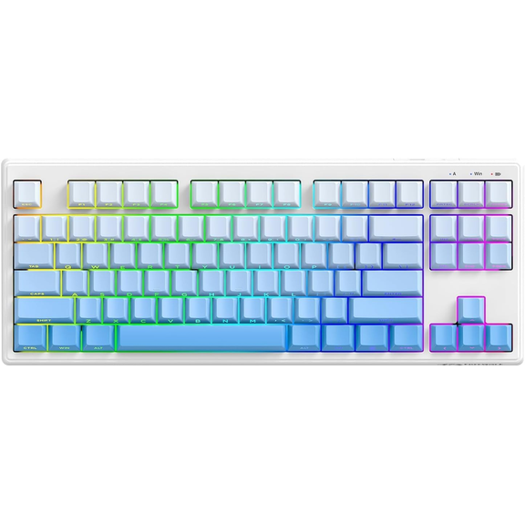 ZIYOU LANG M87V2 Wireless Keyboard,Low Profile Quiet Typing Membrane Gaming Keyboard with 80% TKL Layout Side Printed Keys,RGB Backlit,USB C Rechargeable,87 Keys PBT Keycap(Blue)