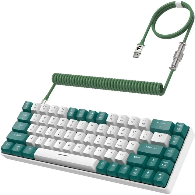 ZIYOULANG Wired Gaming Keyboard with RGB Backlight, Green/White