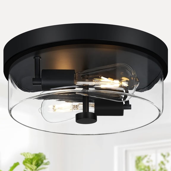 ZJQYDS Mount Ceiling Light Fixtures, 2-Light Black Ceiling Mount for Farmhouse with Clear Glass Lampshade, Industrial Flush Mount Light Fixture for Hallway, Kitchen, Entryway and Foyer