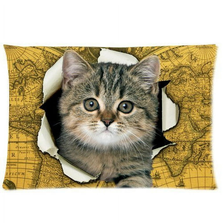 Vintage cat pillow sales