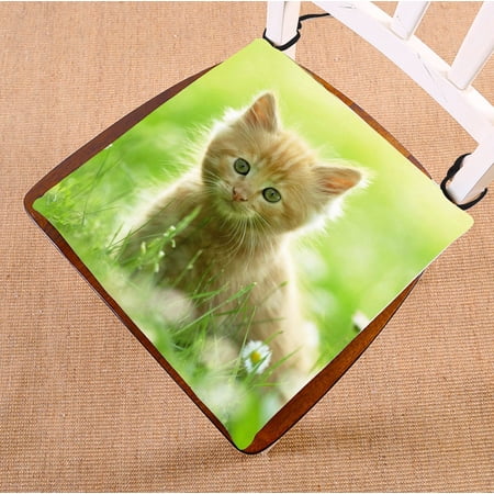 ZKGK Animals Kitten Cat Seat Pad Seat Cushion Chair Cushion Floor Cushion Two Sides 16x16 Inches