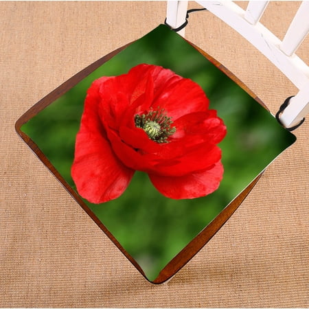 ZKGK Poppy Flowers Seat Pad Seat Cushion Chair Cushion Floor Cushion Two Sides 18x18 Inches