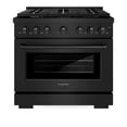thumbnail image 1 of ZLINE 36 in. 5.2 cu. ft. Paramount Dual Fuel Range with Gas Cooktop and Electric Convection Oven in Black Stainless Steel with 6 Brass Burners (SDRB-BR-36), 1 of 2