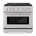 thumbnail image 1 of ZLINE 36 in. 5.2 cu. ft. Paramount Dual Fuel Range with Gas Cooktop and Electric Convection Oven in DuraSnow Stainless Steel with 6 Brass Burners (SDRS-BR-36), 1 of 2