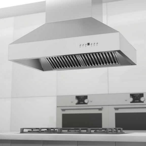 ZLINE 42 in. Outdoor Island Mount Range Hood in Stainless Steel (697i-304-42)