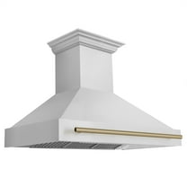 ZLINE KITCHEN AND BATH 8654STZ48CB ducted hood