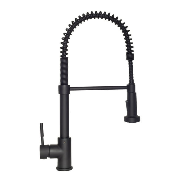 Zline Fsnz Apollo 1.8 GPM Single Hole Pre Rinse Kitchen Sink Faucet