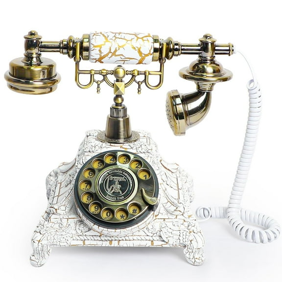 RDYMONKEY Retro Audio Guest Book Phone - Vintage Voice Recorder for Weddings, 8GB Storage, 120H Recording, Party Message Keepsake, USB Audio Souvenir