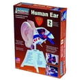 thumbnail image 1 of ZM71308 - HUMAN EAR ANATOMY MODEL KIT LINDBERG UNASSEMBLED, 1 of 2