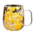 thumbnail image 1 of ZMKIAG 6.7 oz Double-Walled Dried Flower Glass Mug - 200ml Insulated Coffee Cup for Tea/Cold Drinks, Microwave Safe Textured Design with Handle (Gift for Coffee Lovers), 1 of 9