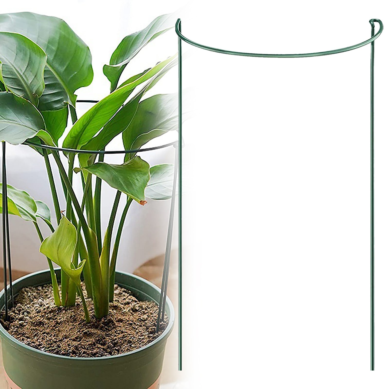 ZMKIAG Plant Support Stakes 24 Inch Sturdy Half Round Metal Plant Cages ...