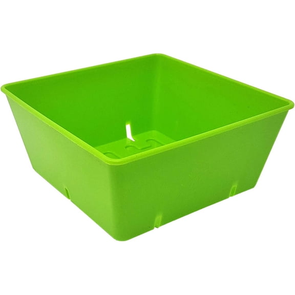 ZMSHOP 5x5 Seed Tray Green - 40 Pack - Extra Strength 5 x 5 Inserts Grow Microgreens, Wheatgrass Seeds, Fodder 1020 System 801 Trays