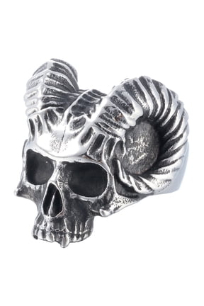 Skull Rings Stainless Steel Jewelry Chunky Demonic Horned Vampire Head Rings (10)
