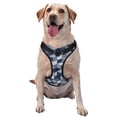 thumbnail image 1 of ZNDUO Abstract Cubes Stripes Pattern Dog Harness, Adjustable Reflective Pet Harness with Dog Leash, 1 of 8