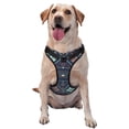 thumbnail image 1 of ZNDUO Aztec Ethnic Tribal Pattern Dog Harness, Adjustable Reflective Pet Harness with Dog Leash, 1 of 8