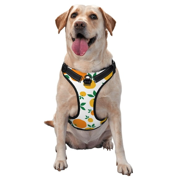 ZNDUO Cartoon Orange Lemon Vintage Pattern Dog Harness, Adjustable Reflective Pet Harness with Dog Leash