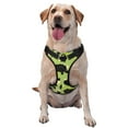thumbnail image 1 of ZNDUO Flower Art Cartoon Pattern Dog Harness, Adjustable Reflective Pet Harness with Dog Leash, 1 of 8