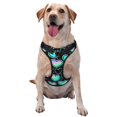 thumbnail image 1 of ZNDUO Heart Colour Iridescent Pattern Dog Harness, Adjustable Reflective Pet Harness with Dog Leash, 1 of 8