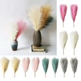 thumbnail image 1 of ZOELNIC 12Pcs Artificial Flowers Pampas Grass Ascendant Grass 17 inch Fake Flowers Grass for Wedding Bouquets Home Party Hotel Centerpieces Decorations Beige, 1 of 8