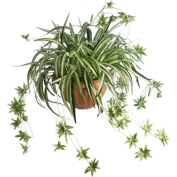 ZOELNIC 2 Pack Artificial Flowers Spider Plants Fake Silk Plant Faux Greenery Artificial Plants Home Garden Office Wedding Decoreation (Not Include Hanging Basket)