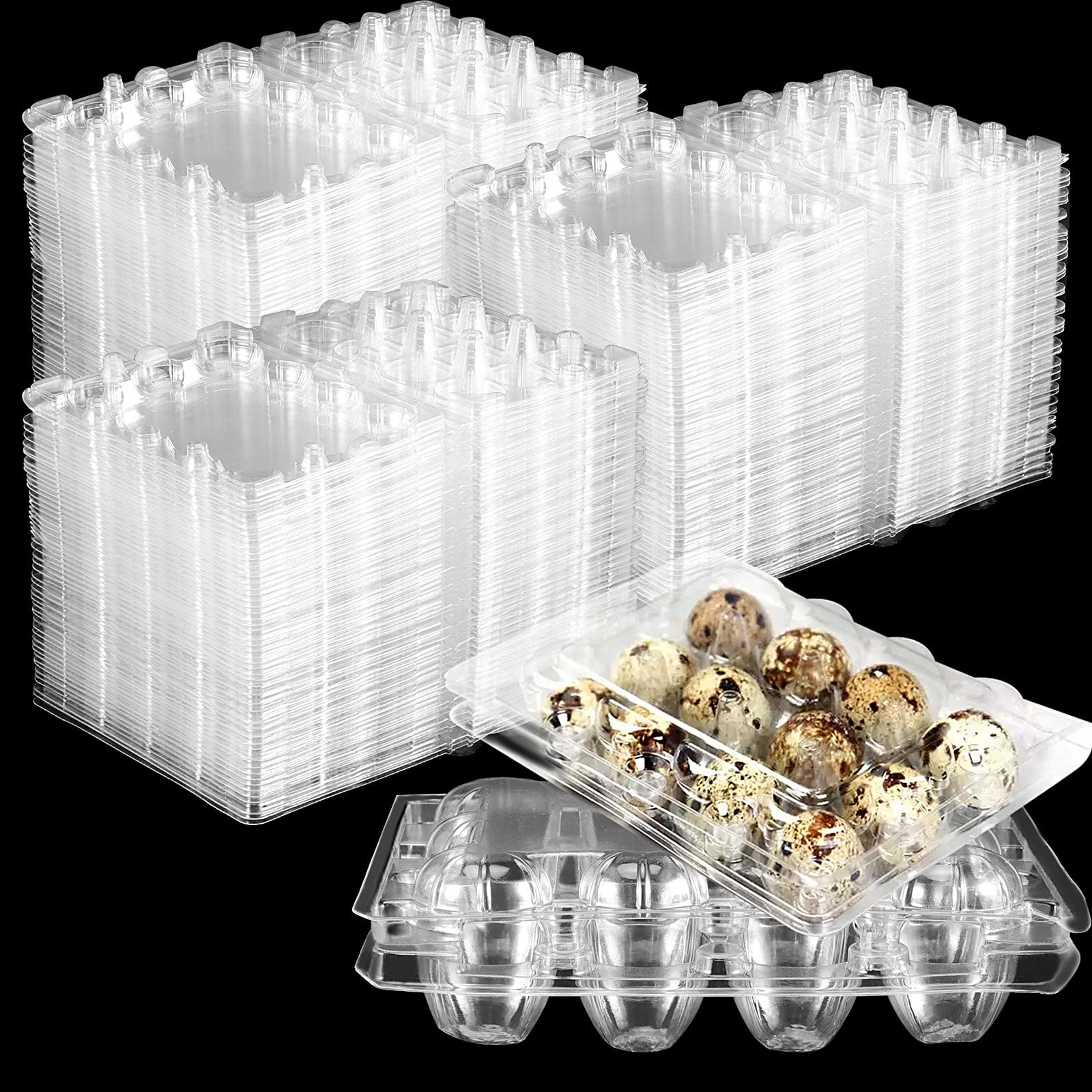 ZOENHOU 12 Cavity Quail Egg Cartons, Stackable Egg Storage Box, Egg Holder Bulk  Cartons, Clear PVC, Plastic, 150 Pack, 4 x 5.4 x 1.5 Inches 