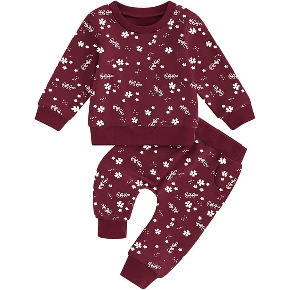 ZOEREA Toddler Baby Girl Clothes Long Sleeve Pullover Tops   Pants Set Floral Print Sweatsuit Fall Winter Outfits 6M-4T