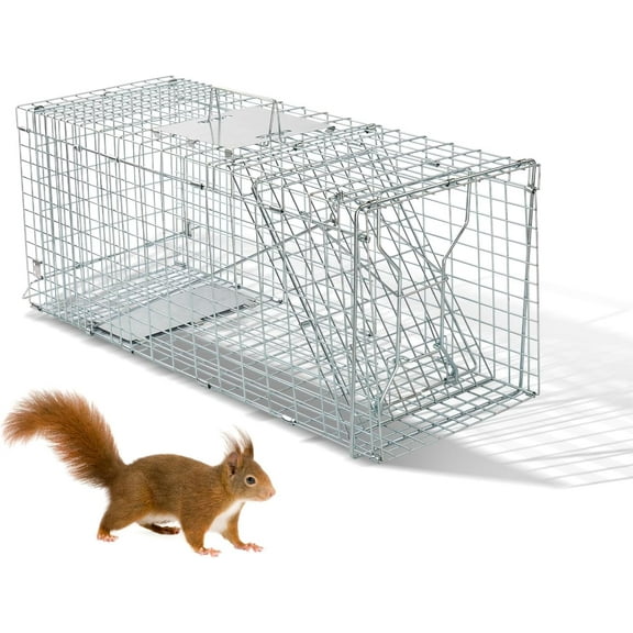 ZOPan Live Animal Cage Trap, 32" Heavy Duty Folding Steel Cage, Catch Release Humane Rodent Cage for Rabbits Stray Cat Squirrel Raccoon Mole Gopher Chicken Opossum Skunk & Chipmunks