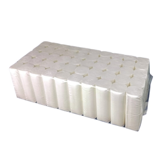 ZORVINEX 100 Rolls Toilet Paper, Per Roll, Bulk Bathroom Tissue, Disposable Toilet Paper for Home, Office, Dorm, Rental and Commercial Restroom Use White