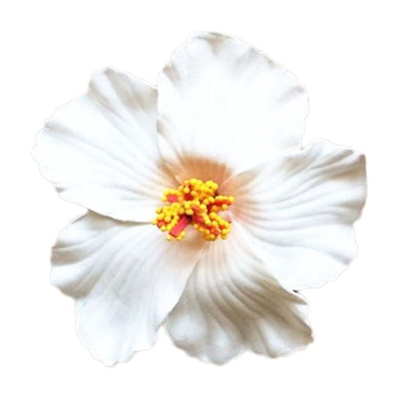ZOUBAOQ Hawaiian Flower Hair Clip For Women Girls,Artificial Clips Foam Flower Clips Tropical Beach Wedding Bridal Luau For Women