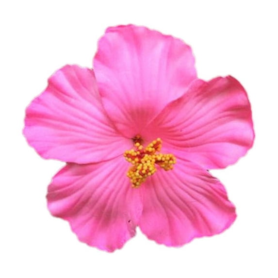 ZOUBAOQ Hawaiian Flower Hair Clip For Women Girls,Artificial Clips Foam Flower Clips Tropical Beach Wedding Bridal Luau For Women