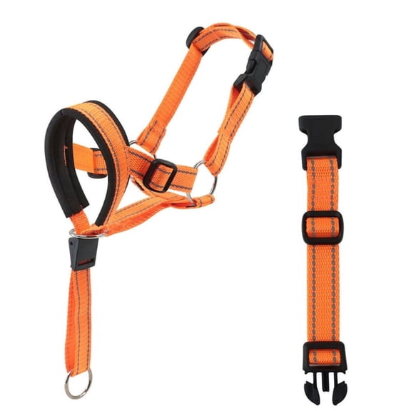 ZPAQI Dog Muzzle Mouth Guard German Dog Nylon Strap High-end Training Halter