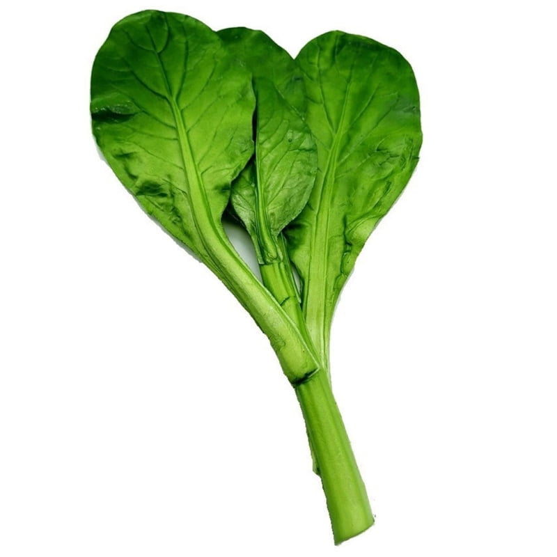 ZPAQI Simulated Vegetable Model Artificial Chinese Choy Sum Vegetable
