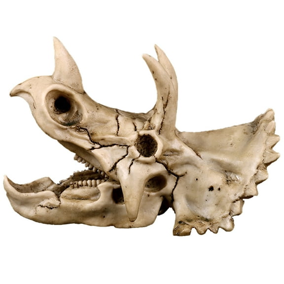 ZPAQI Triceratops Dinosaur Skull Resin Crafts Fossil Skeleton Teaching Model Halloween
