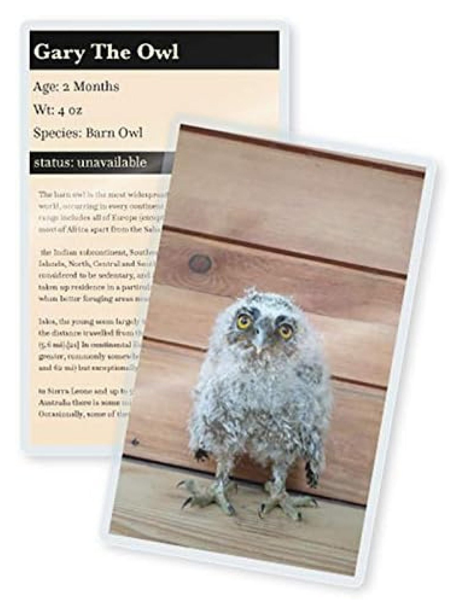 ZQRPCA Laminating Pouches Large Prayer Card Size 31/4Inch by 51/