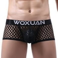 thumbnail image 1 of ZQUUVOU Men's Boxer Briefs Mesh Casual Solid Breathable Pouch (Black,L), 1 of 3