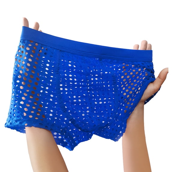 ZQUUVOU Men's Boxer Briefs Mesh Hollowed Out Solid Color Underpants (Blue,S)