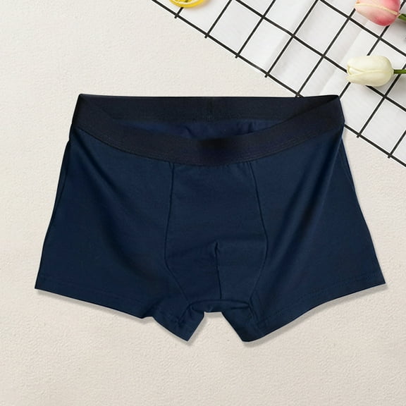 ZQUUVOU Men's Boxer Briefs Solid Color Cool Elastic Waist Casual Underpants (Blue,XL)