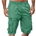 thumbnail image 1 of ZQUUVOU Men's Cargo Shorts Multi Pocket Button Zip Elastic Waist 5 Inch Inseam Casual Outdoor Hiking Fishing Work Mint Green, 1 of 5