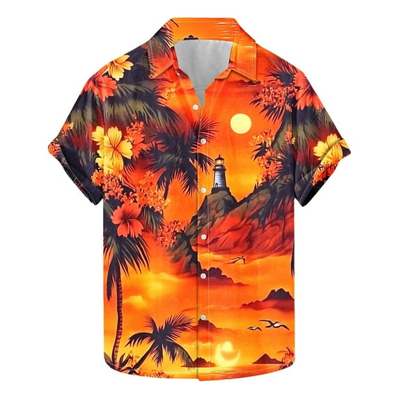 ZQUUVOU Men's Hawaiian Shirt Turndown Collar Casual Floral Print Short Sleeve Button Shirt (A-Multicolor,L)