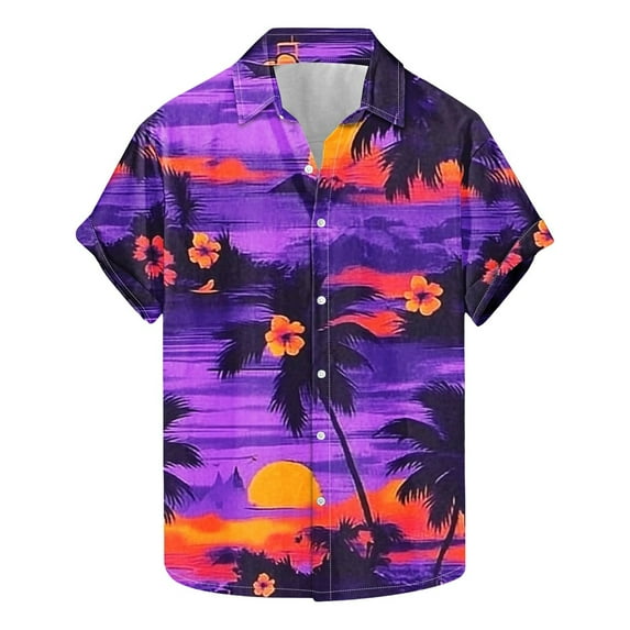 ZQUUVOU Men's Hawaiian Shirt Turndown Collar Casual Floral Print Short Sleeve Button Shirt (D-Multicolor,XL)
