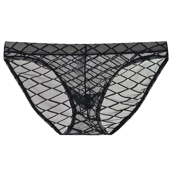 ZQUUVOU Men's Sheer Mesh Lace Briefs Solid Color Thin Breathable Soft Stretchy Lightweight Underwear for Daily Comfort Black