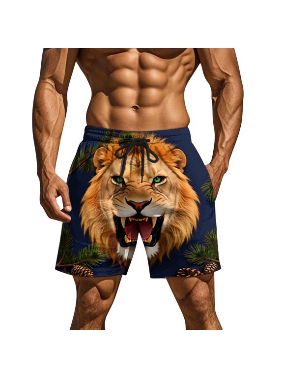 Men's Swim Trunks Funny Novelty Print Drawstring Elastic Waist Double Pockets 5 Inch Beach Shorts Beach Shorts Dark Gray