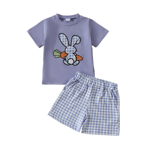ZQUUVOU Toddler Baby Girls' Casual Short Sleeve Round Neck Collar Botton Solid Plaid Short Pants Sets 6M-4Y Purple