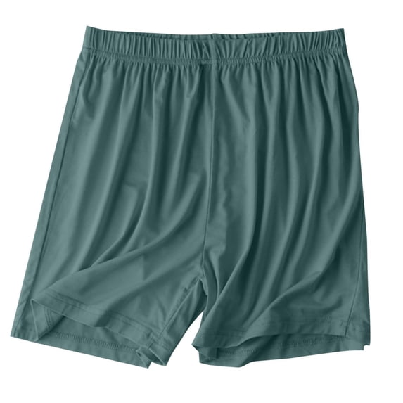 ZQUUVOU Women's Pajamas Shorts Summer Elastic Waist Solid Color Casual Lounge Pants(Mint Green,2XL)