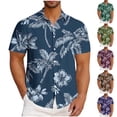 thumbnail image 1 of ZRGHAOYLQ Men's Slim Fit Palm Tree Printed Hawaiian Button-Down Dress Shirt Short Sleeve Lapel Beach Tshirts Plus Size Summer Tropical Vacation Shirts, 1 of 5